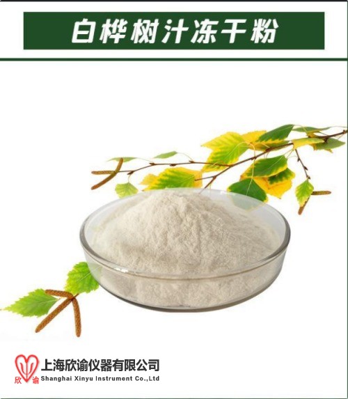 17570514909757.jpg 白桦树汁冻干粉.jpg