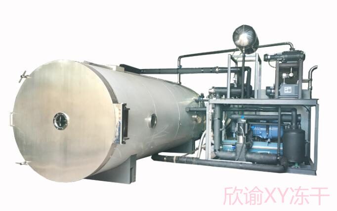 食品冷冻干燥机高分子石墨烯真空冷冻干燥机XY-GY-1000上海水果冰冻干燥机