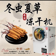 上海欣谕小型冻干机XY-FD-L4A冬虫夏草冷冻干燥机中药真空冷冻干燥机的照片