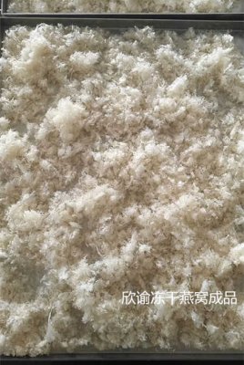 燕窝冻干机